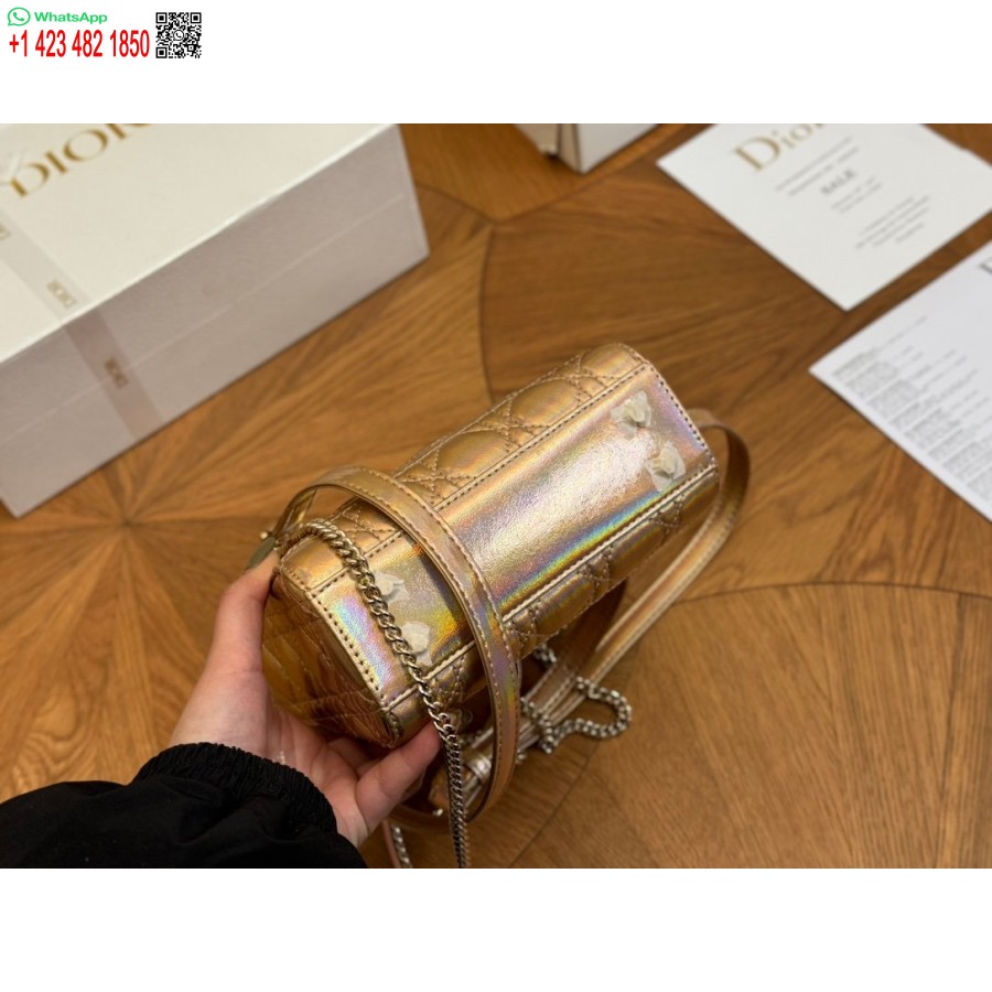 2024 Najnovejše Modne Torbe Dior Princess Anna Zlate Barve