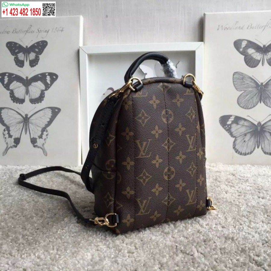 Replica Louis Vuitton Palm Springs Mini Kuprinė M41562 Blv017