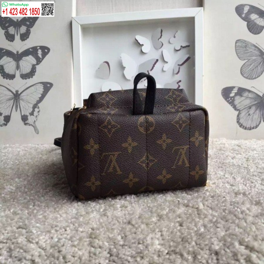 Replica Louis Vuitton Palm Springs Mini Kuprinė M41562 Blv017