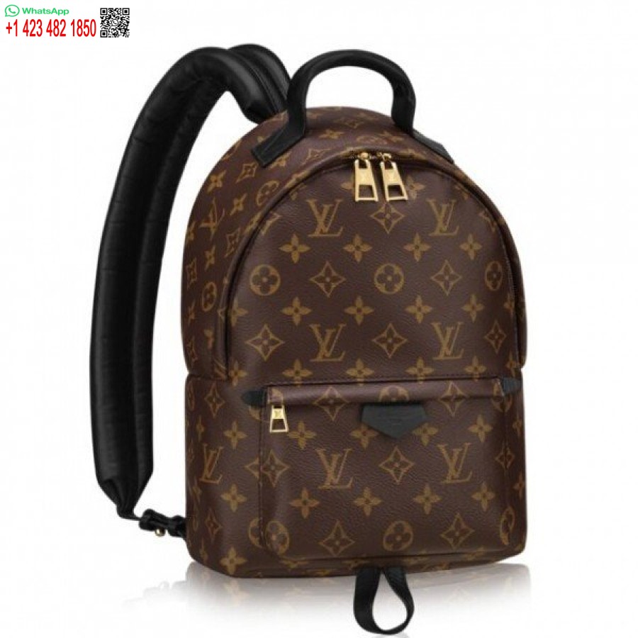 Replika Ruksaku S Palmovými Pružinami Louis Vuitton Pm M41560 Blv002