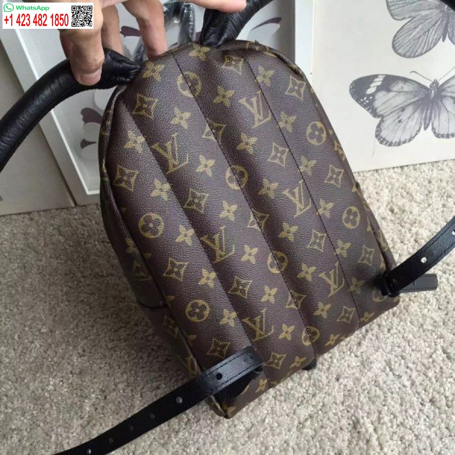 Replika Ruksaku S Palmovými Pružinami Louis Vuitton Pm M41560 Blv002