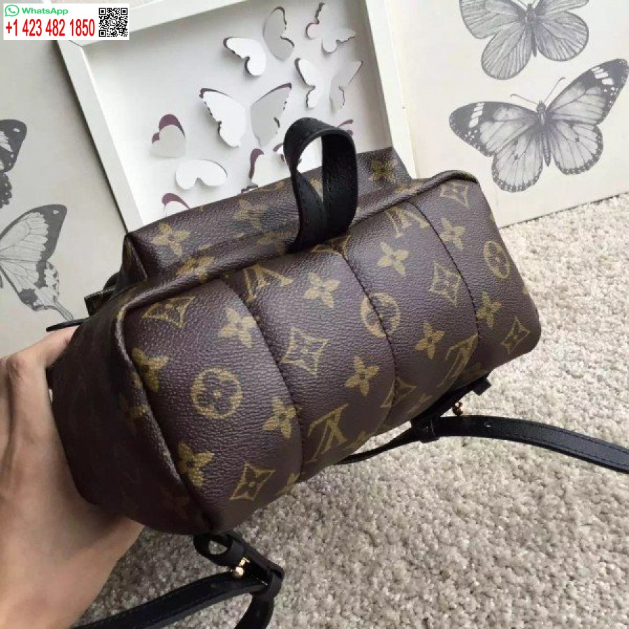 Replika Ruksaku S Palmovými Pružinami Louis Vuitton Pm M41560 Blv002